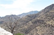 Tucson 2590